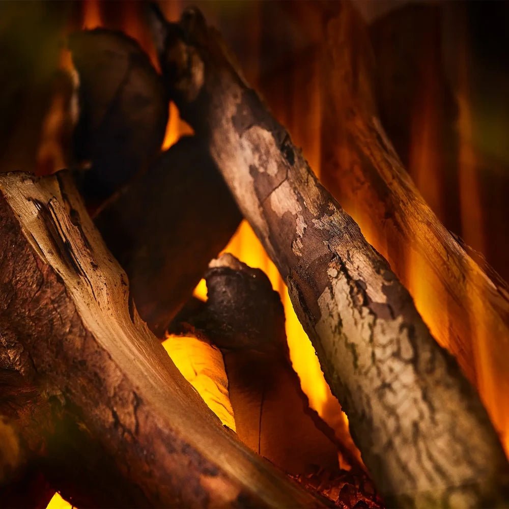 Cheminée électrique New Forest 870 – Insert encastrable – Image 5